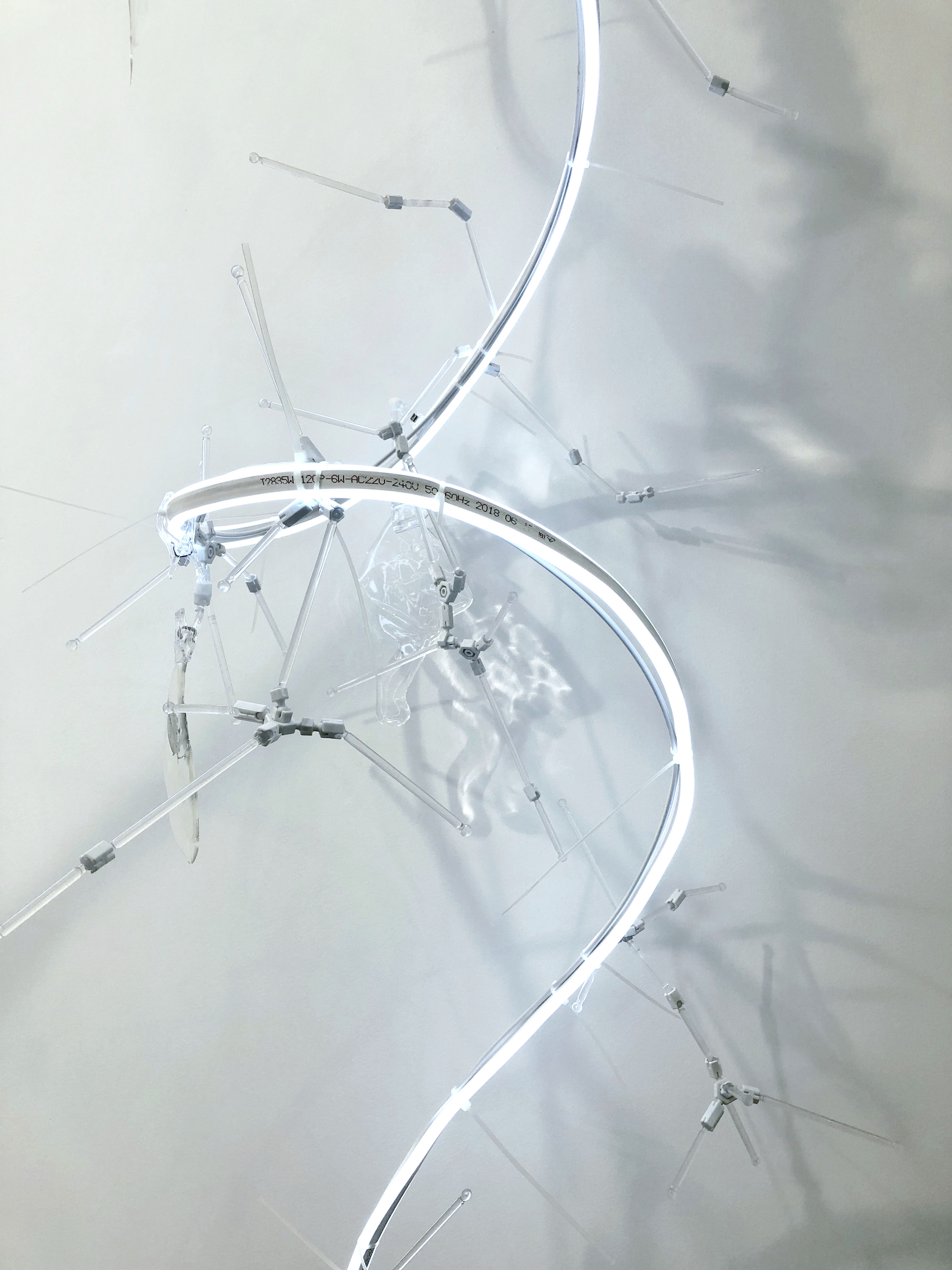 泛灵净界生物体(局部) 手绘, 透明材料,Led灯光装置, 尺寸可变 Animistic Organism from Sukhavati (detail), lighting installation, dimensions variable 2018
