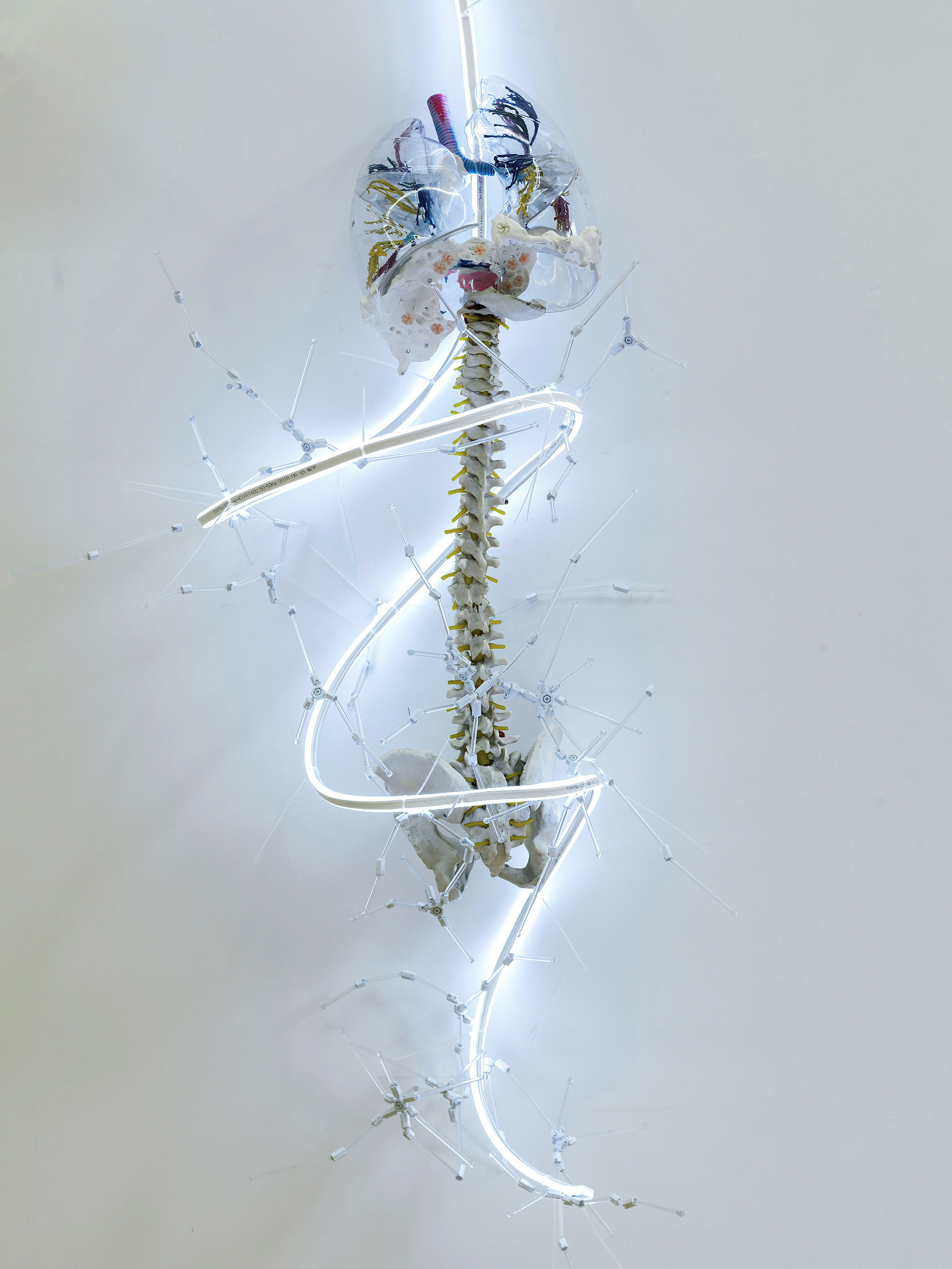 泛灵净界生物体(局部),综合材料,Led灯光装置, 尺寸可变 Animistic Organism from Sukhavati (detail), lighting installation, dimensions variable 2018